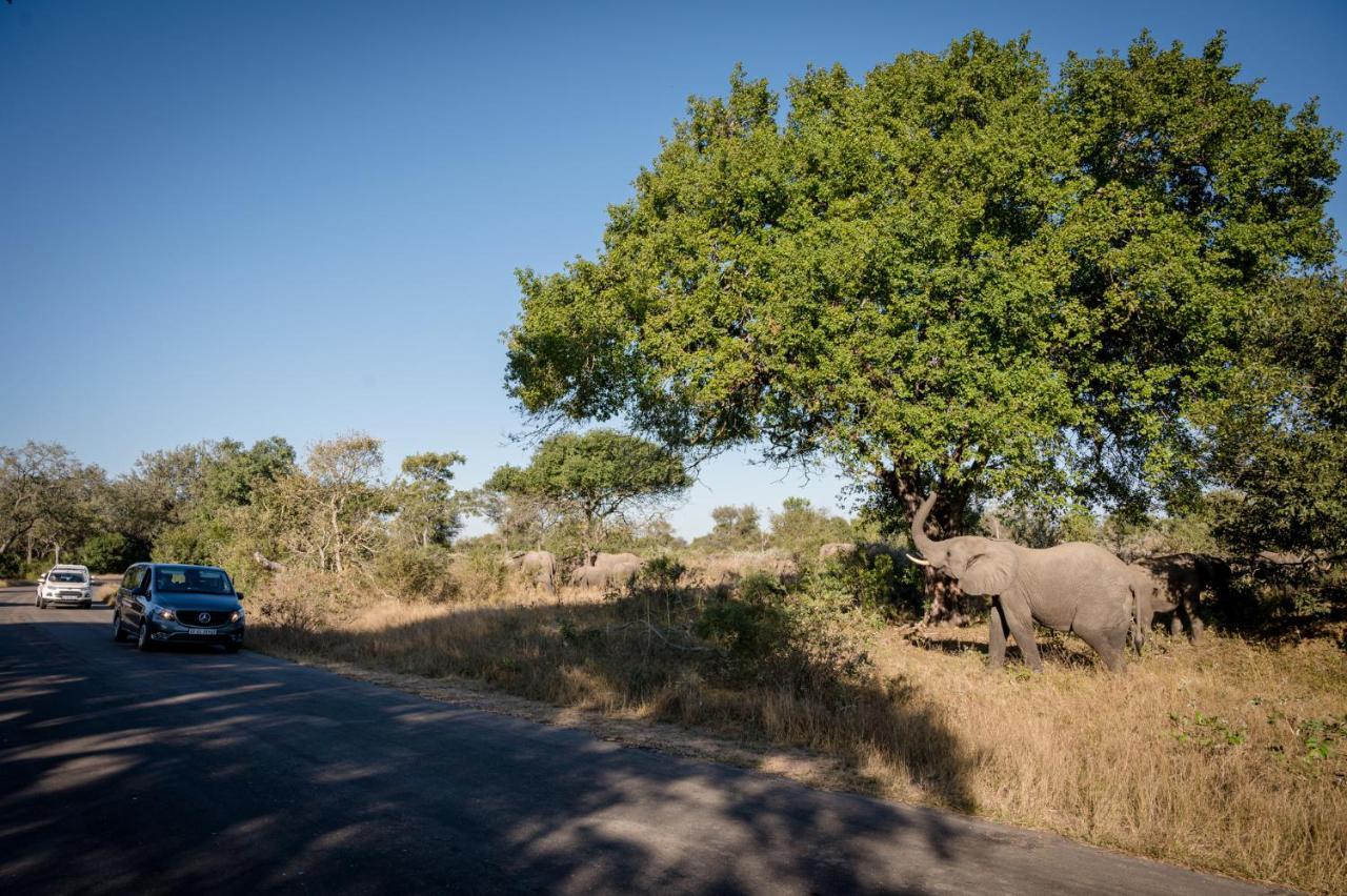 Nkuhlu Tented Camp Skukuza Exterior foto